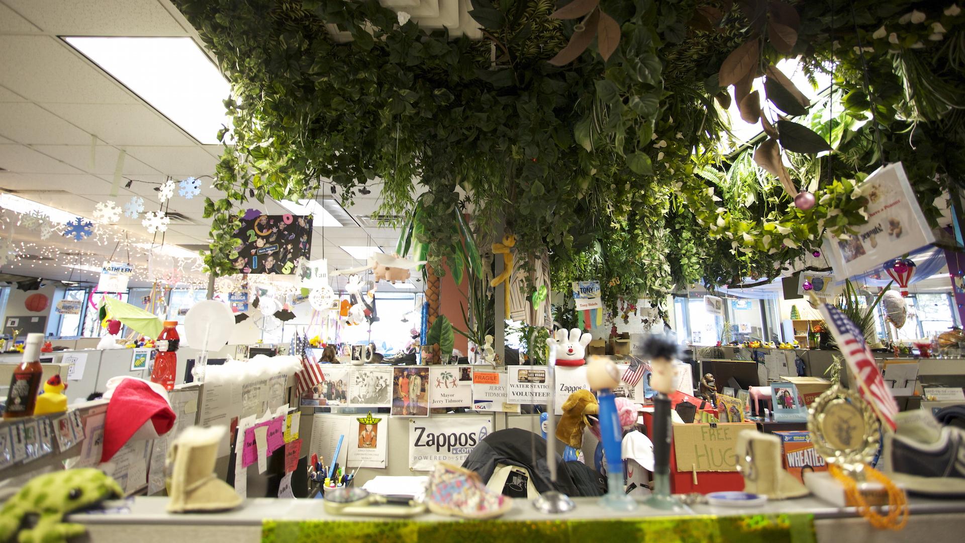 A Culture-First Mindset for M&A Branding
