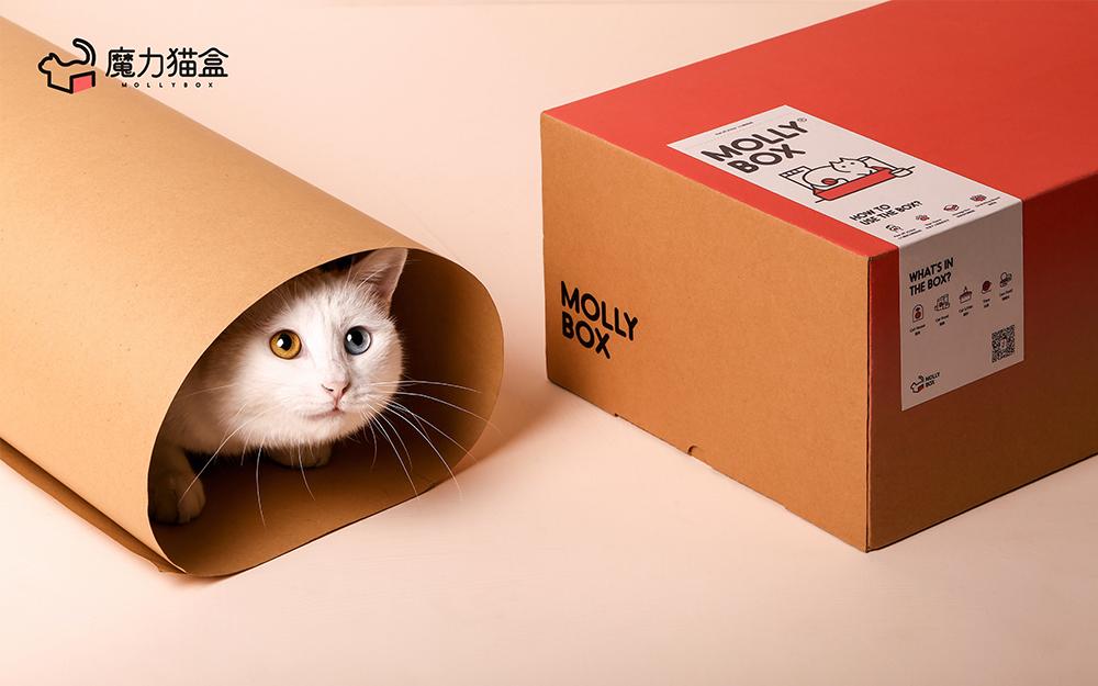 Brand Positioning