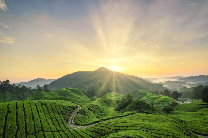 Malaysia Truly Asia? Examining Malaysia’s Positioning in SEA 